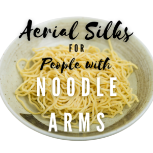 The words Aerial Silks for People with Noodle Arms in black and white text over a white ceramic bowl of plain cooked noodles